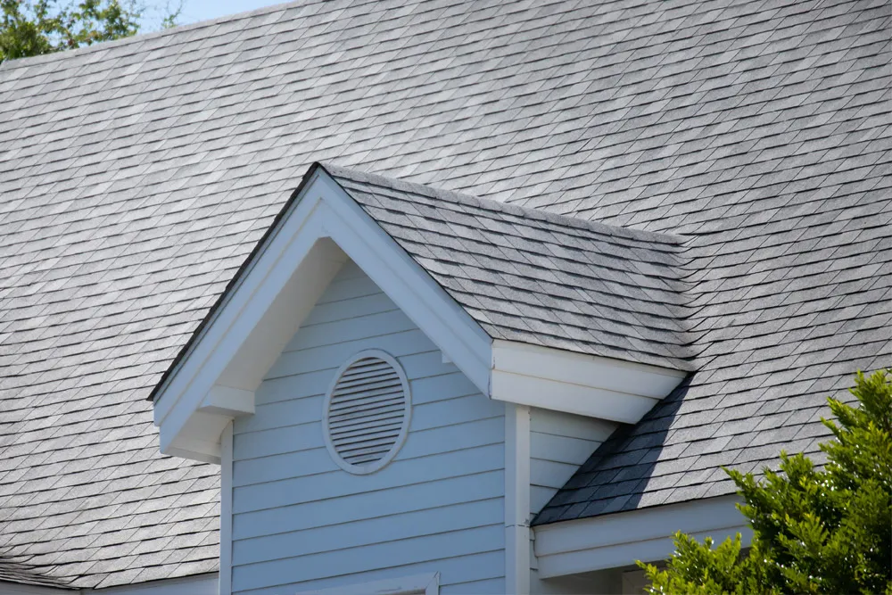 Roof Detail