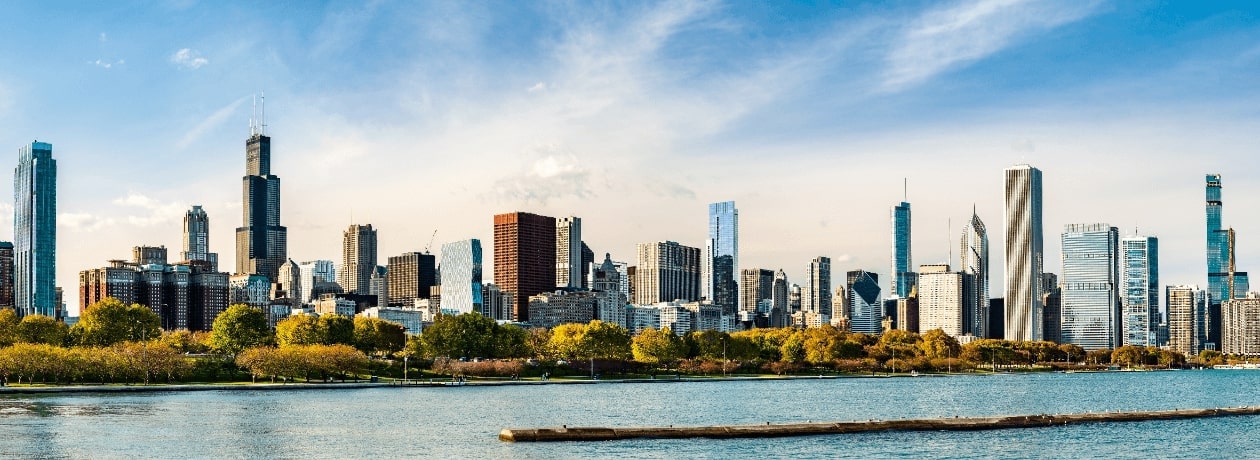 Chicago Skyline