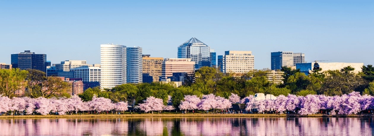 DC Skyline