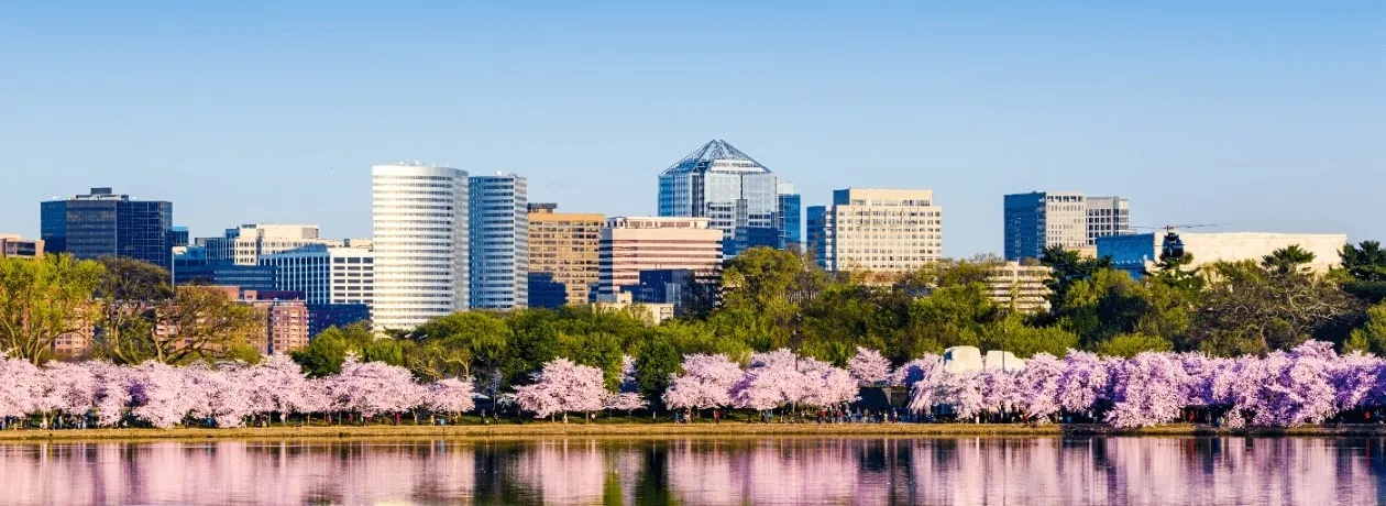 DC Skyline