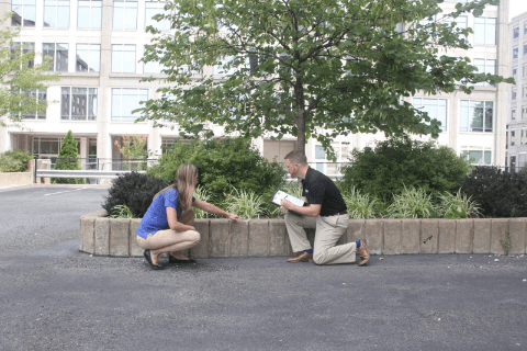 Site Inspection