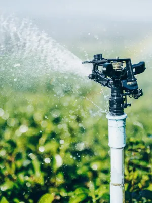 Irrigation