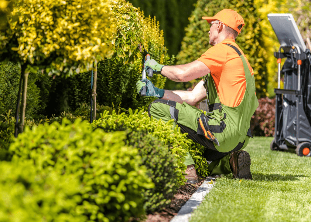 Landscaping